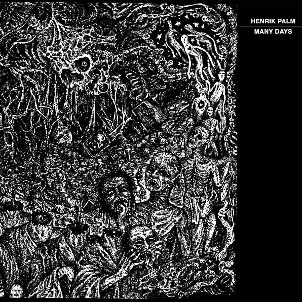 HENRIK PALM - Many Days 12" Vinyl (Black LP)